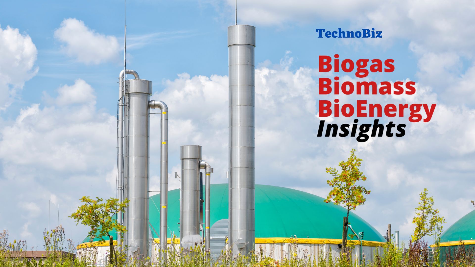 Biogas, Biomass & BioEnergy  Insights